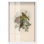 «Poem of New Life Shadowbox», reproduction d'art botanique par Art Remedy