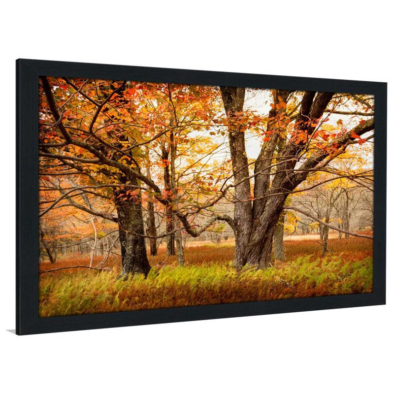 «Crossing Paths», reproduction de photo, H 33,5 po x l 49,5 po x P 1 po, Cadre espresso