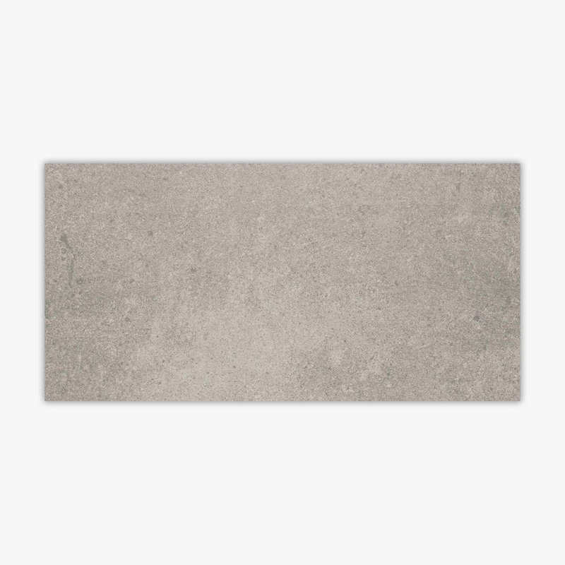 24" x 48" Porcelain Stone Look Wall & Floor Tile, Silver Polished