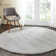 Bardhi Indoor Rug