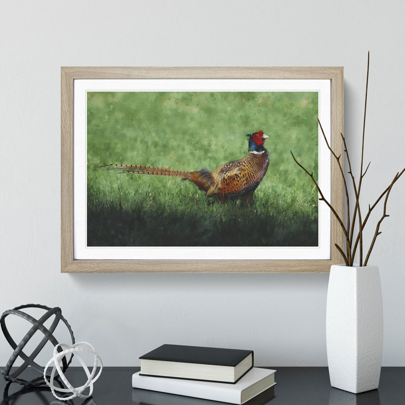 Pheasant Bird Vol.2 - Framed Print, 48cm H x 65cm W x 2cm D, Oak Framed