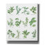 «August Herbe» par Chris Paschke-72011123