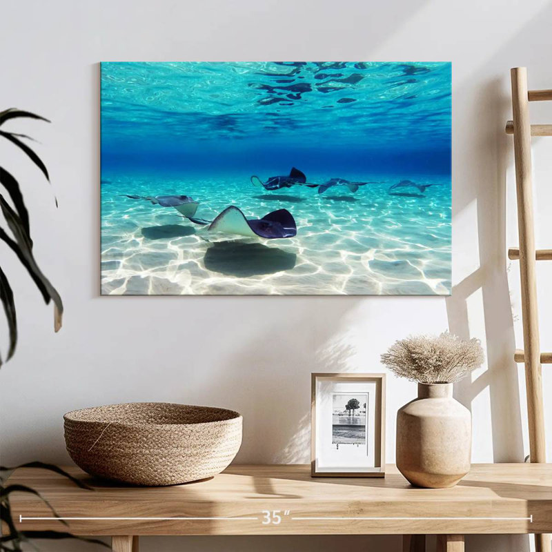Crowle Grand Cayman Stingrays, 16" H x 24" W