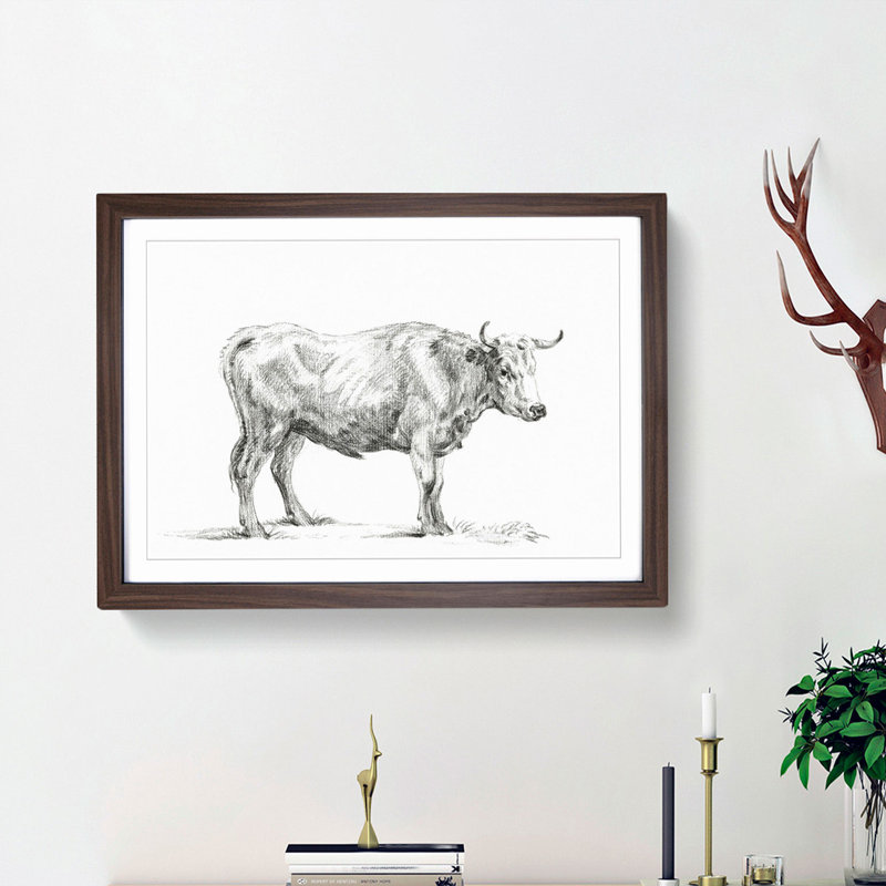 Sketch of a Bull by Jean Bernard - Picture Frame Drawing Print, Walnut Framed, 27cm H x 36cm W x 2cm D