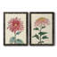 Toile de chrysanthème-1154156184-1154156161