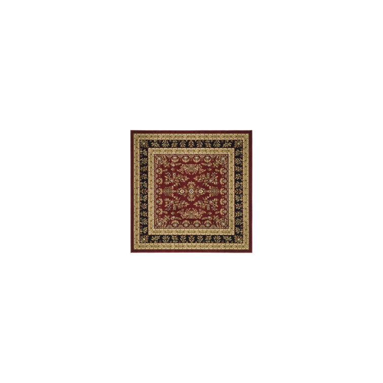Klose Performance Oriental Rug