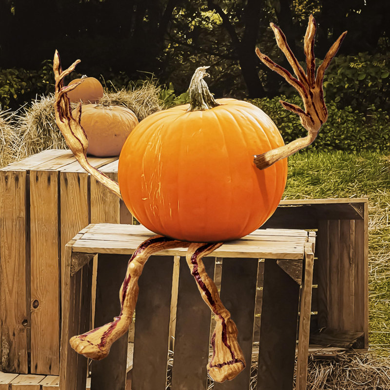 Décorations d'Halloween avec bras et pieds de citrouille pliables d'Halloween
