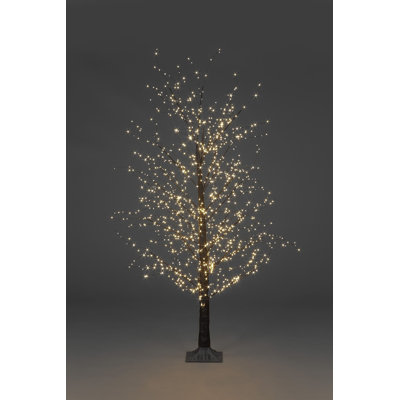 Indoor / Outdoor Holiday Lighting