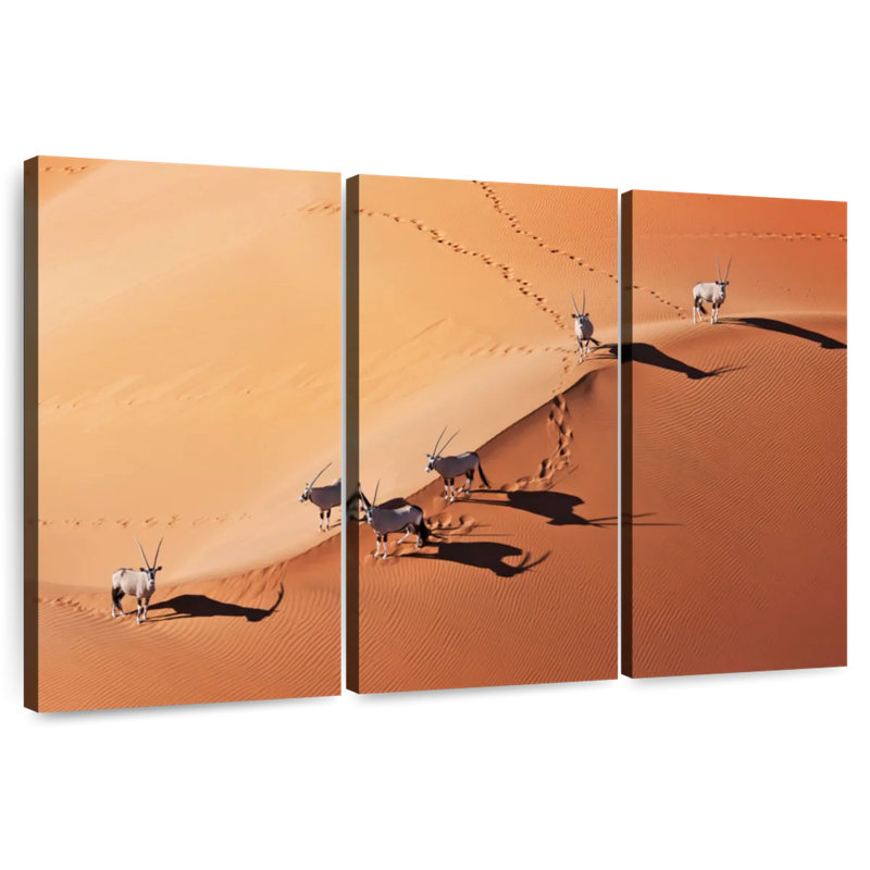 Namib Desert Scene, 48" H x 74" W
