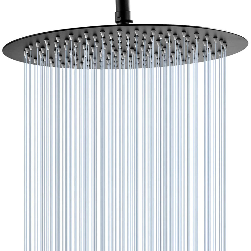 Pomme de douche 8 po