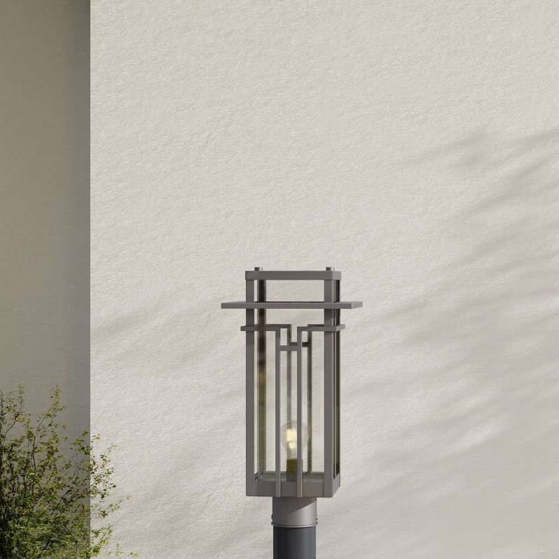 Blithe Seeded Lantern Head