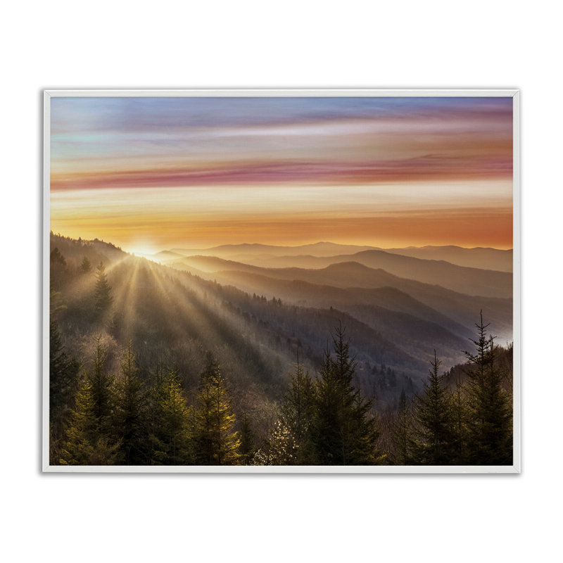 Lever de soleil à travers la forêt de montagne, horizon blanc encadré par Danita Delimont, H 24 po x l 30 po
