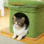 Scratching Post-288615688