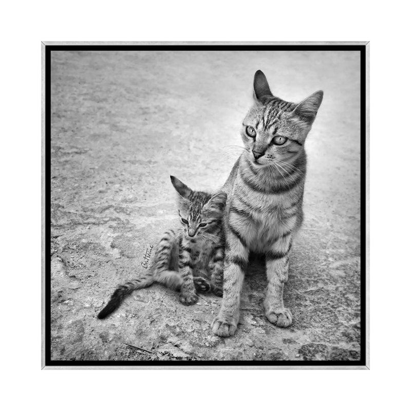 « Never laisse me alone » par Ben Heine-reproduction de photo, Pas de tapis, H 18 po x l 18 po x 1,5 po