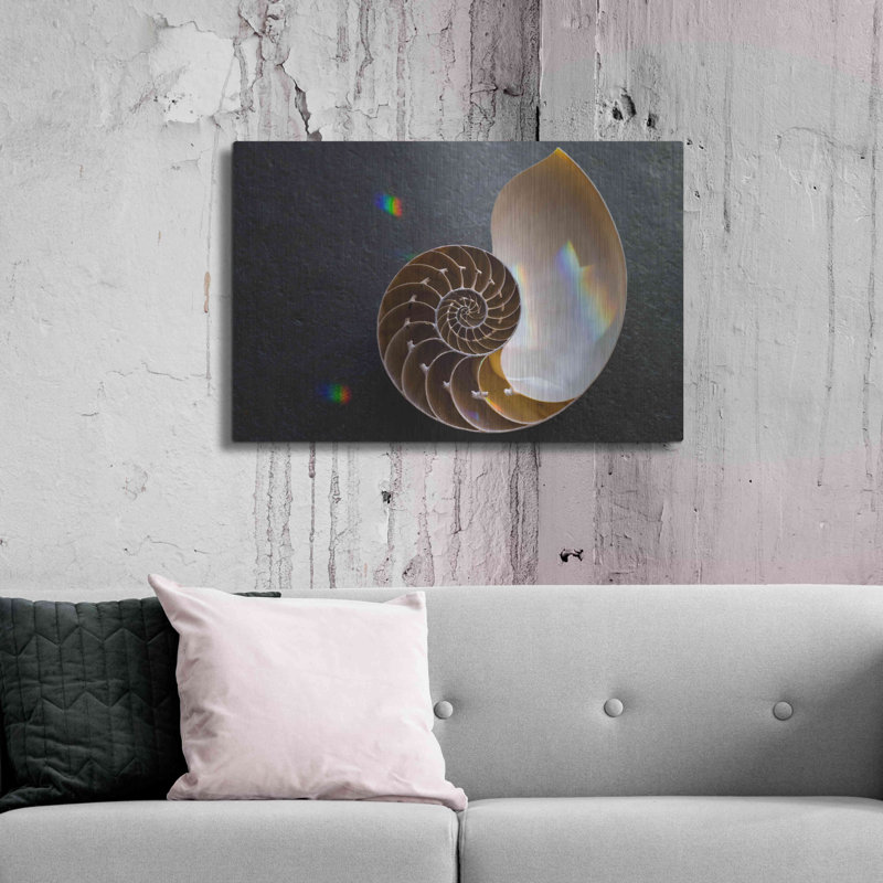 "Coquillage Nautilus" par Elena Ray, H 24 po x l 36 po