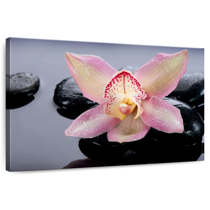 Harnek Zen Delicate Orchid, 20" H x 30" W