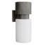Crawford Outdoor Sconce