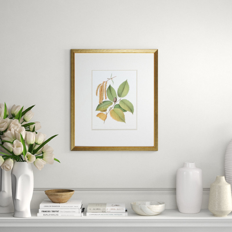 Antique Black Birch Print by Sprague