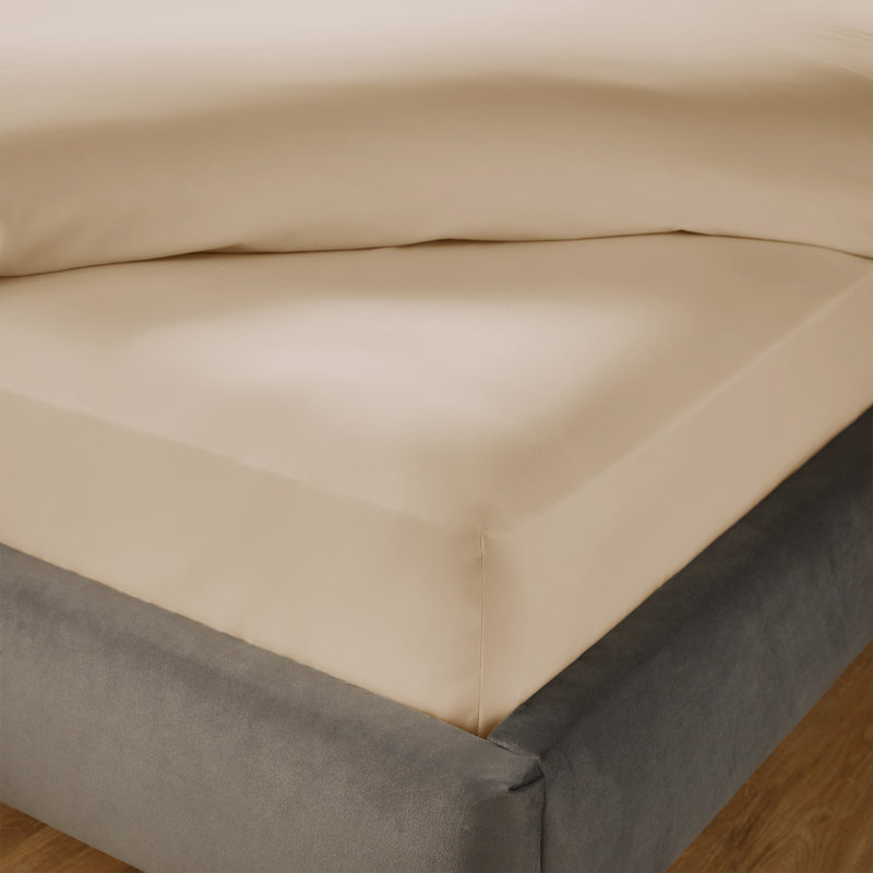 Silentnight Pure Cotton 200 TC Extra Deep Fitted Sheet, Beige, Double (4'6)