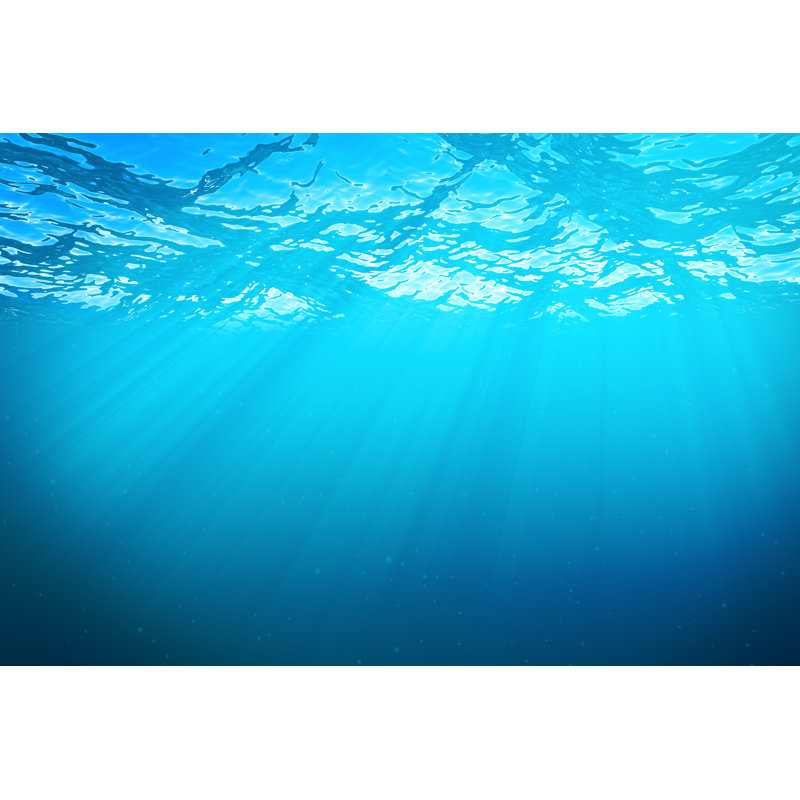 Rendering Underwater Sea, Ocean Surface With Light Rays, High Resolution by Rost-9D - Wrapped Canvas Print