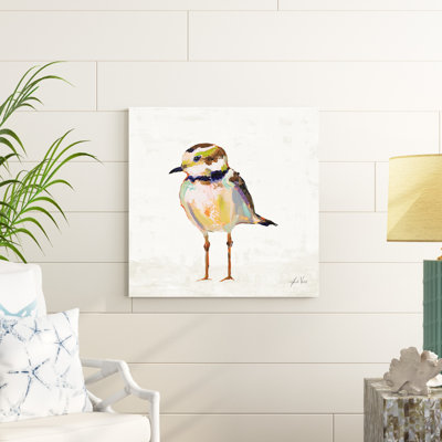 Lin Coastal Plover II