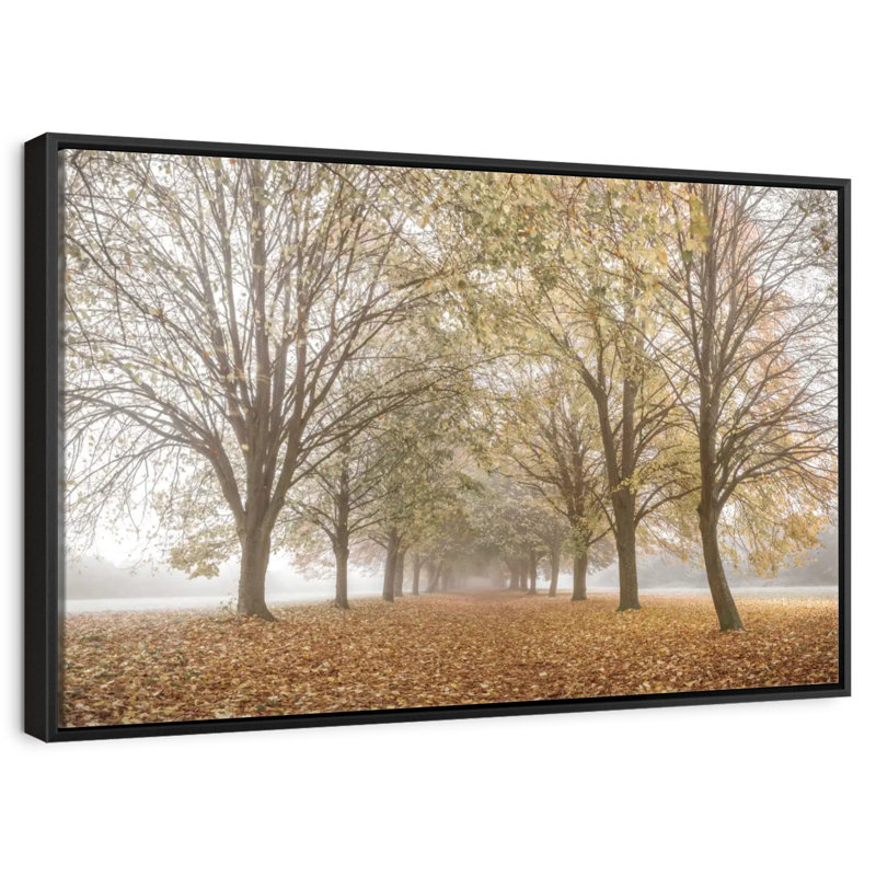 Paix d'automne, Cadre flottant noir, 43 po x 29 po