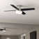 Ceiling Fan with LED Lights