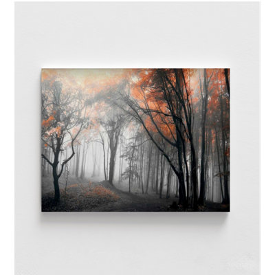 «Autumn Woods» par Photoinc Studio, idée de décor de studio de photographie de forêt d'automne brumeux, œuvre de bureau de réception d'automne moderne