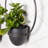 Schunemunk Iron 2-Piece Wall Planter Set