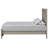 Chaynce Panel Bed-1703220196