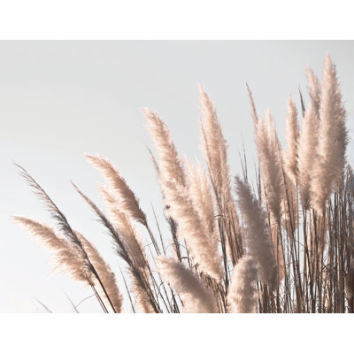 Golden Plant - photographie sur toile tendue