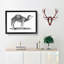 Arabian Camel In Black And White by George Shaw - Single Picture Frame Print-55545165-55545168