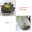 5 pièces plantes succulentes artificielles en pot, assorties de plantes grasses décoratives en pot avec pots