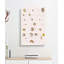 Types Of Seashells PL. 3 by J.E. De Kay - Wrapped Canvas Painting-55330594