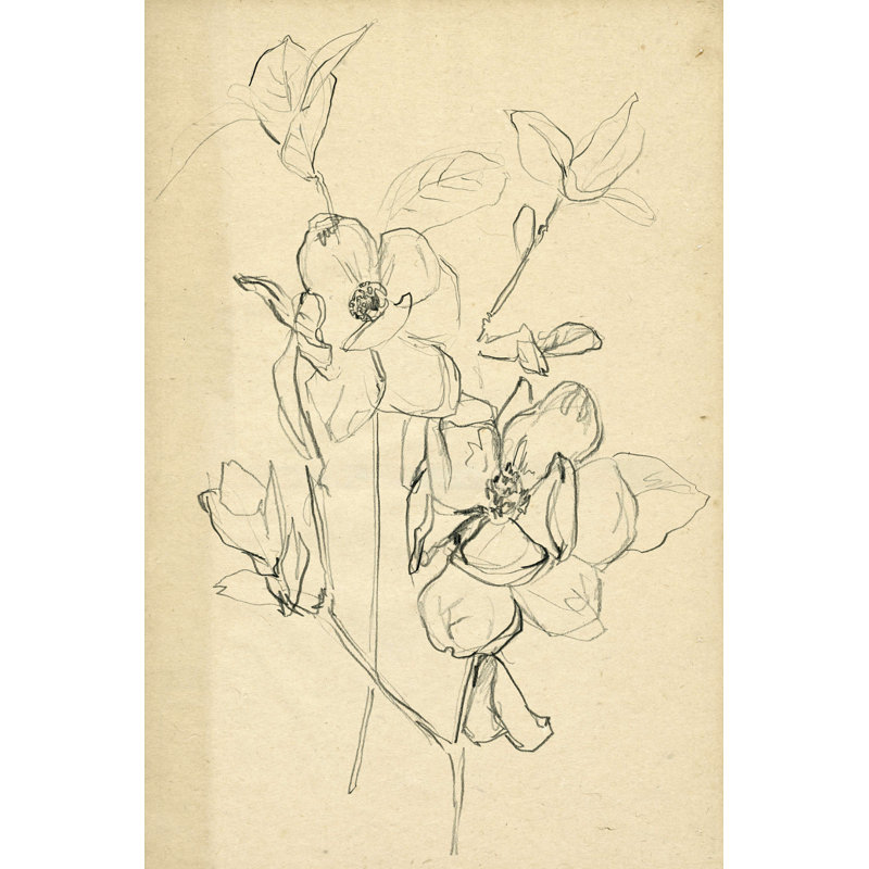 Contour de fleur II, H 18 po x l 12 po x P 1,25 po