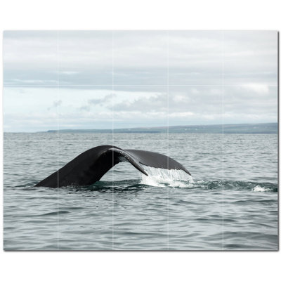 Whale Photo 12'' x 12'' Satin Ceramic Decorative Mural -  Picture-Tiles.com, PT501191-54XL