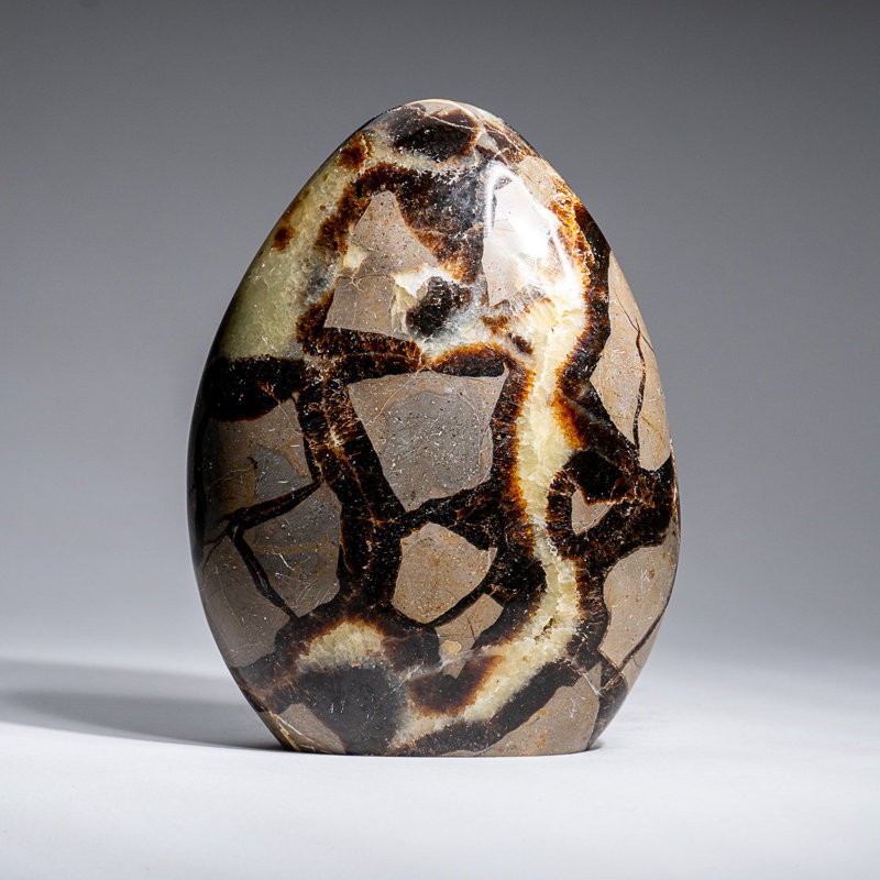Polished Septarian Freeform from Madagascar (2.1 Lbs)