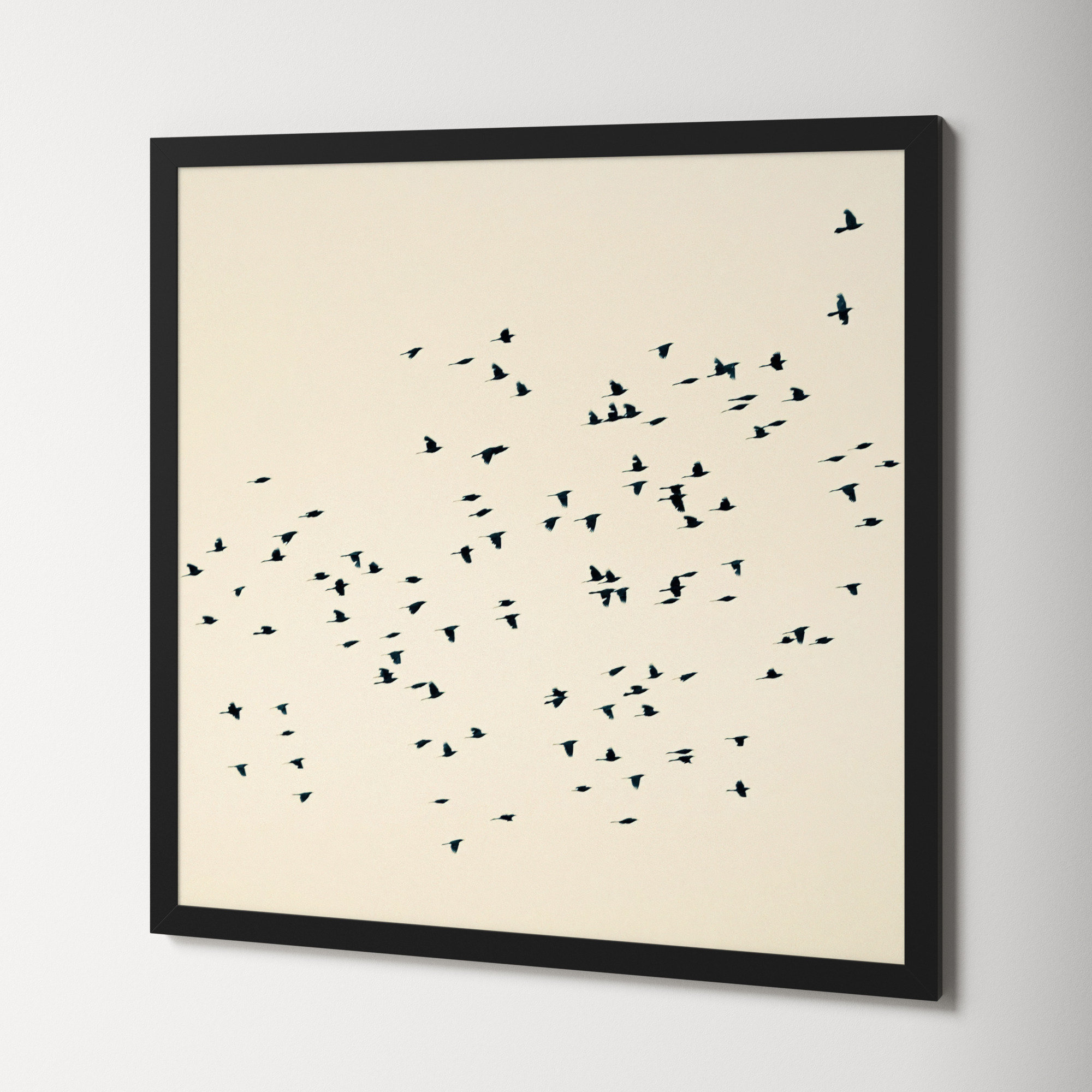 Soaring by Peter Dušek, 36" H x 36" W x 1.25" D, Black