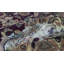 One-of-a-Kind 8'2" X 10'7" Area Rug