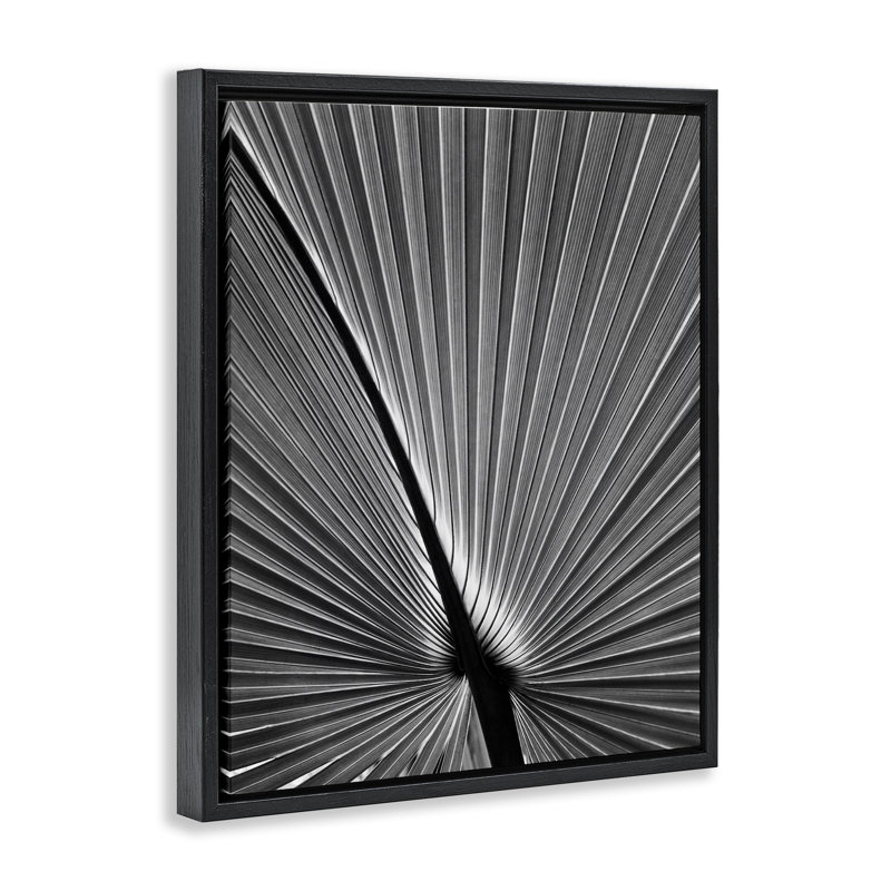 "Floater" par Chip Forelli, H 21 po x l 17 po, Cadre flottant noir de jais