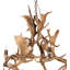 Rustic Lodge 12 - Light Chandelier