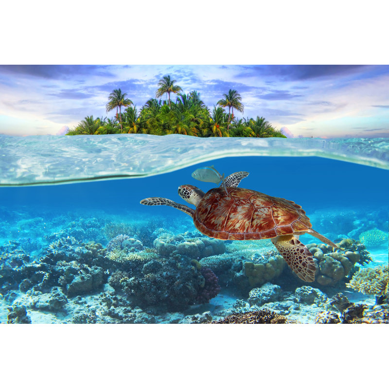 Green Turtle Underwater by Patryk_Kosmider - Wrapped Canvas Print, 81cm H x 122cm W