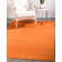 Aiden-Lee Indoor Rug