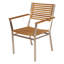 Equinox Dining Armchair