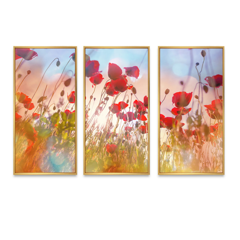 Jolies fleurs de coquelicot au soleil - ensemble de 3 toiles encadrées florales, H 28 po x l 36 po x P 1 po, Encadrement doré