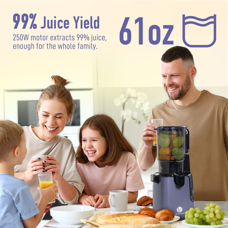 Ventray Purple Electric Masticating Juicer with Large Feed Chute