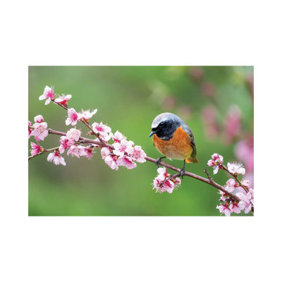 " Spring Bird " by Mateusz Piesiak