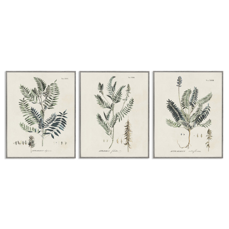 Ensemble de motifs d'herbes vertes et botaniques vertes par Martini, Estampe numérique Farmhouse, H 30 po x l 24 po