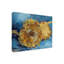 «Sunflowers 1887» par Vincent Van Gogh, impression sur toile tendue-1871298836