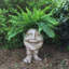 Pot à fleurs Muggly's Aunt Minnie-901691959-901691962